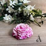 Bicolore rose et fushia